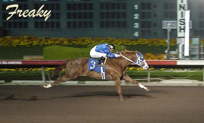 Blue Jockey Silks at Santa Anita