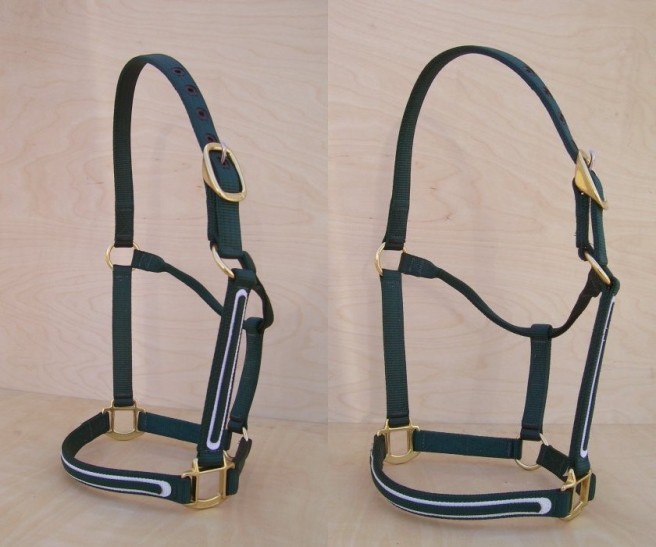 Horse Halters by Craigmyle