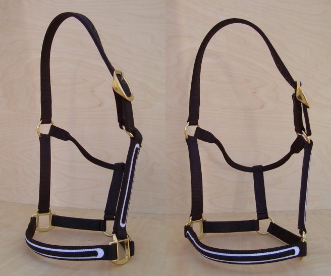 Horse Halters by Craigmyle