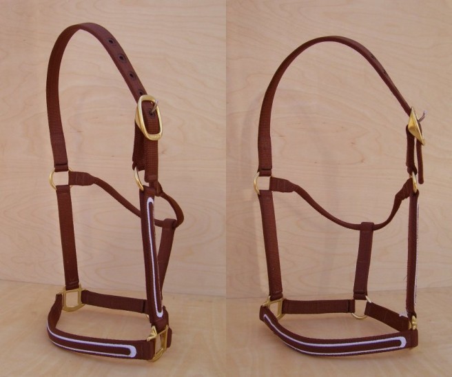 Horse Halters by Craigmyle